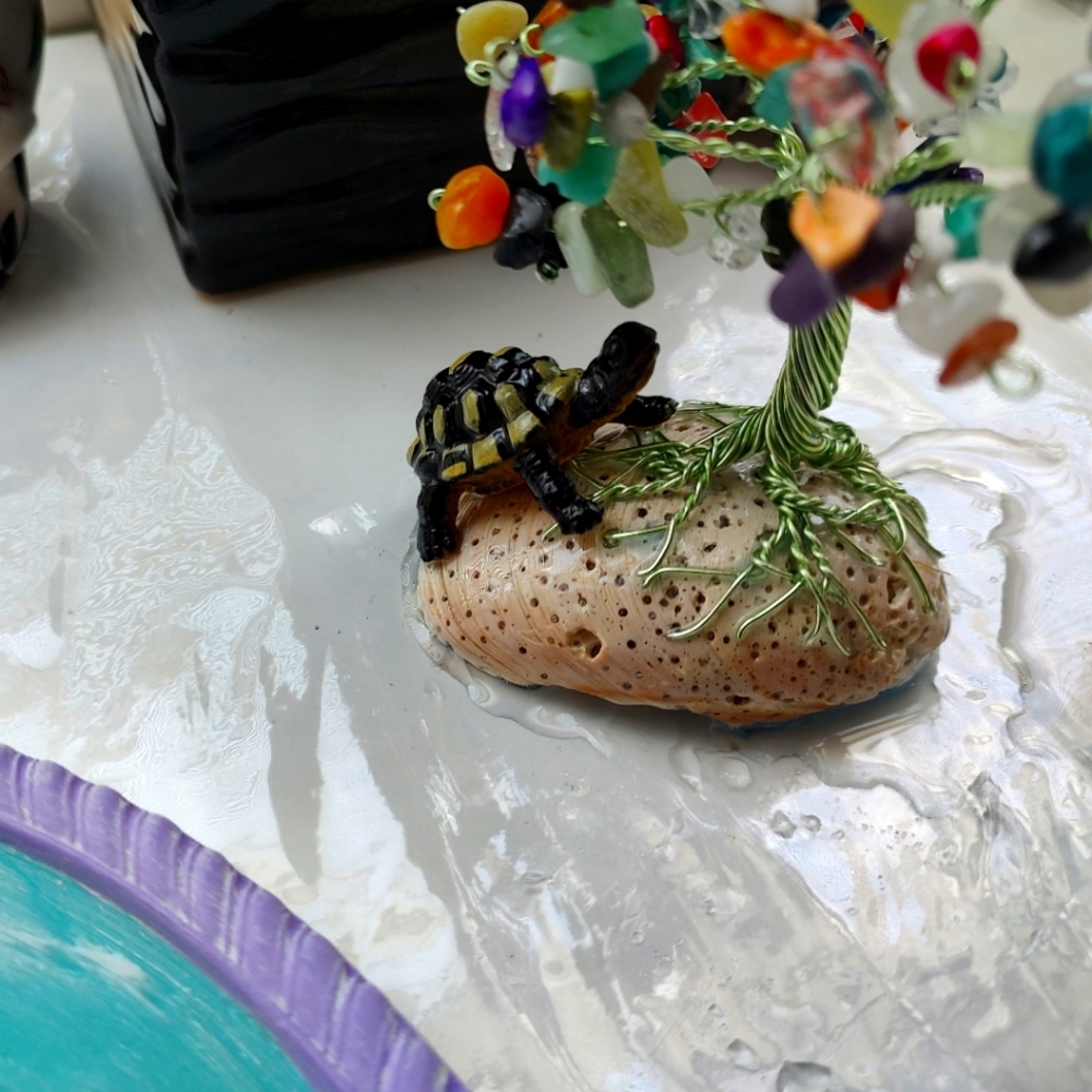 Wiretree on sea shell